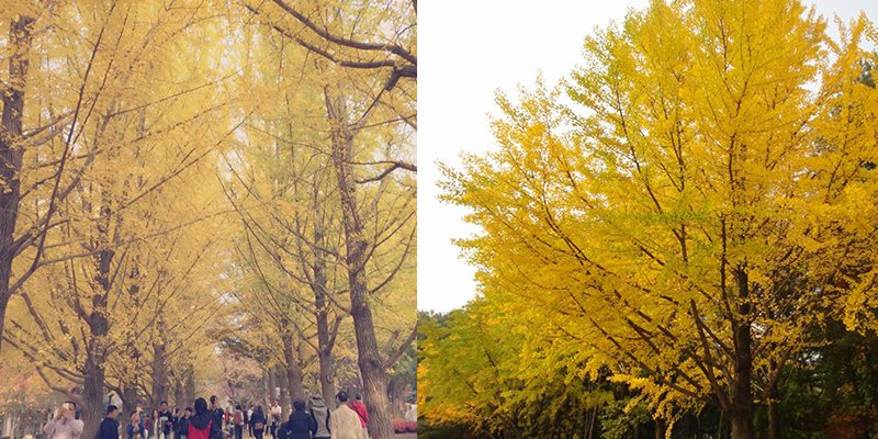 20151030소식_워크샵3.jpg